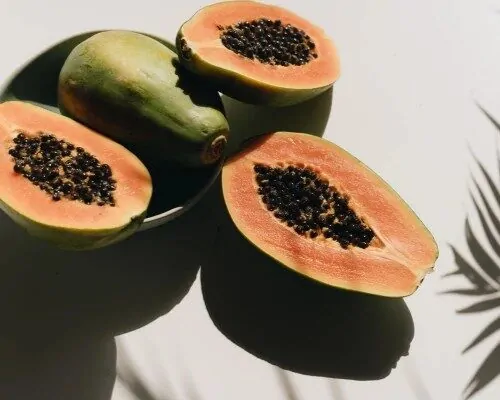 Papaja