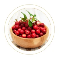 Americka brusnica u zdjelici