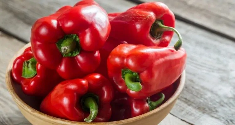 Crvena paprika