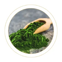 Chlorella