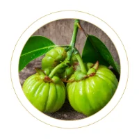 Garcinia cambogia