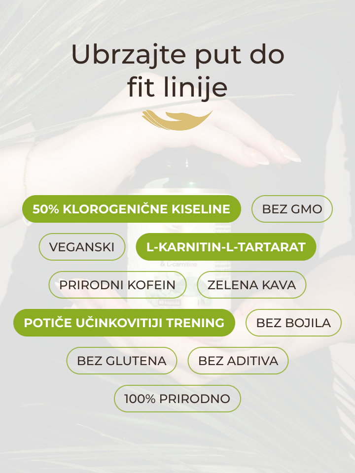herbalife l carnitine Green Coffee & L-Carnitine