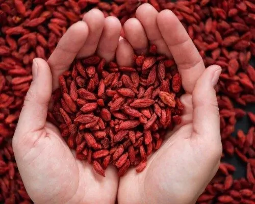 Goji bobice