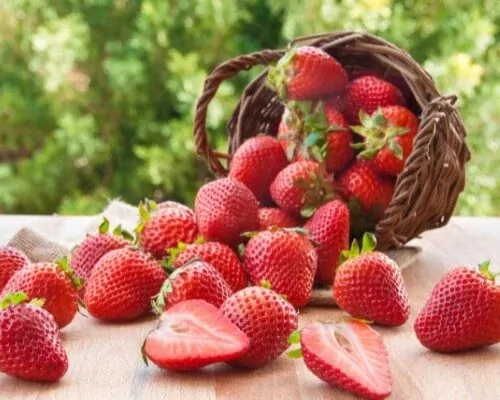 Jagode