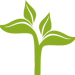 Decorative leaves