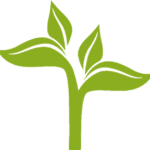 Decorative leaves