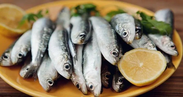 Sardine kao namirnica bogata jodom