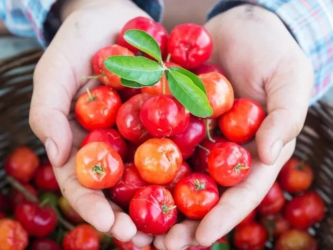 Naslovna slika za clanak Koje voće ima najviše vitamina C?