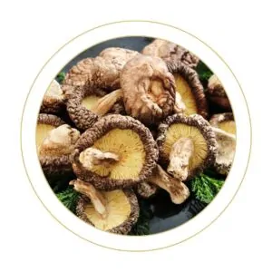 Shiitake