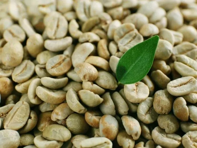 Naslovna slika za clanak Zelena kava: što je i kada se koristi?