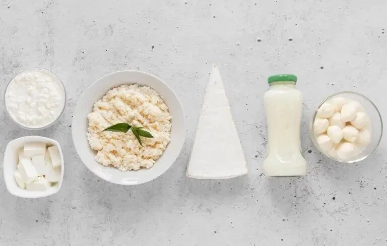 Namirnice bogate probioticima